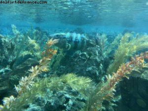 Magic kingdom - Los Angeles