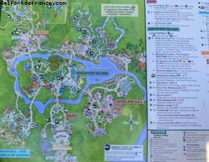 Animal Kingdom - Walt Disney World