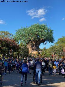 Animal Kingdom - Walt Disney World