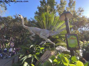 Animal Kingdom - Walt Disney World