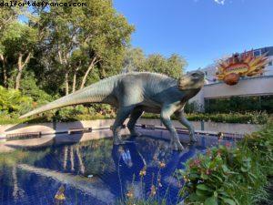 Animal Kingdom - Walt Disney World