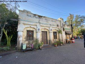 Animal Kingdom - Walt Disney World