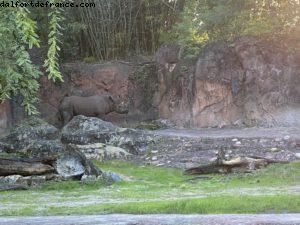 Animal Kingdom - Walt Disney World