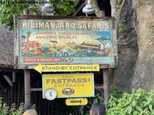 Animal Kingdom - Walt Disney World