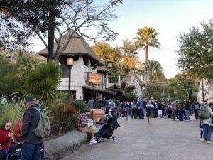 Animal Kingdom - Walt Disney World
