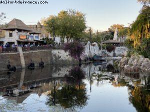 Animal Kingdom - Walt Disney World