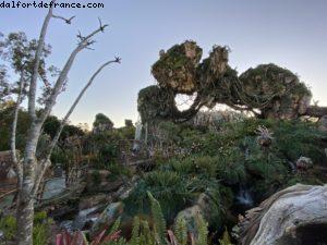Animal Kingdom - Walt Disney World