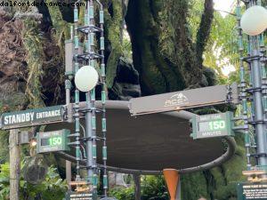 Animal Kingdom - Walt Disney World