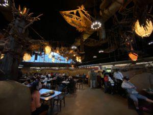 Animal Kingdom - Walt Disney World