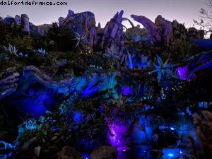 Animal Kingdom - Walt Disney World