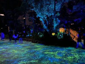 Animal Kingdom - Walt Disney World