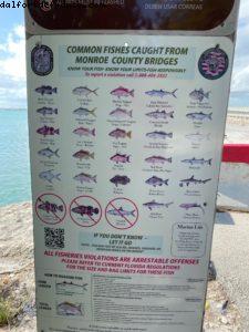 Cinq heures de route féérique entre Key West et Miami (Floride)