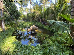 L'expo dans les jardins du Raleigh - Miami Beach (Floride)