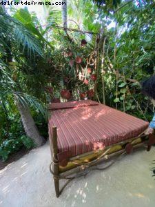 L'expo dans les jardins du Raleigh - Miami Beach (Floride)