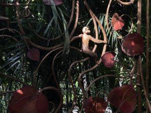 L'expo dans les jardins du Raleigh - Miami Beach (Floride)
