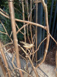 L'expo dans les jardins du Raleigh - Miami Beach (Floride)