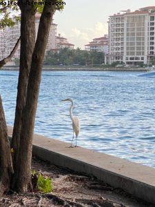 Miami Beach, Floride