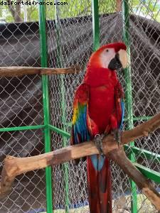 Puerto Vallarta, Mexique - Notre 74eme croisière Atlantis (sur la Riviera Mexicaine à bord du Celebrity Eclipse)