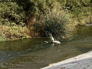 Los Angeles - Notre 74eme croisière Atlantis (sur la Riviera Mexicaine à bord du Celebrity Eclipse)