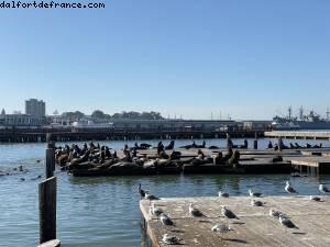 San Francisco, Californie 