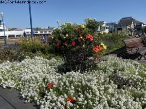 San Francisco, Californie 