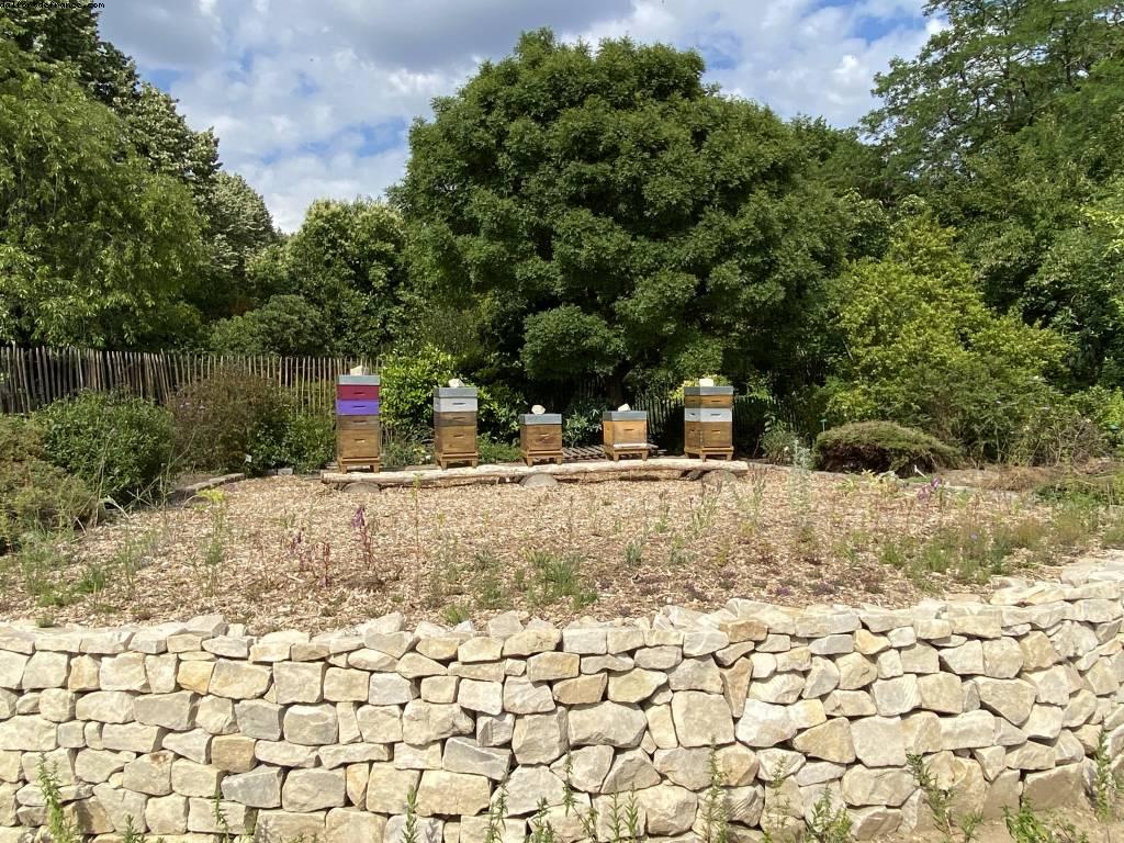 Les jardins de l'école Dubreuil et l'arboretum - Bois de Vincennes - balades -Après le grand confinement - Paris