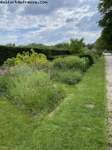 Les jardins de l'école Dubreuil et l'arboretum - Bois de Vincennes - balades -Après le grand confinement - Paris