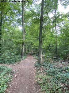 Bois de Vincennes - ballades -Après le grand confinement - Paris