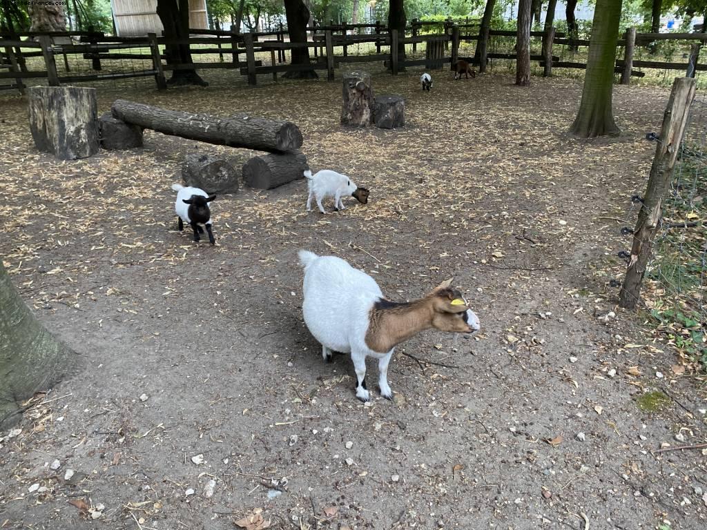 La ferme de Maisons-Alfort - Paris Est Marne & Bois (T10)- ballades -Après le grand confinement - Paris