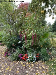 Bois de Vincennes - Paris, France (October 2020)