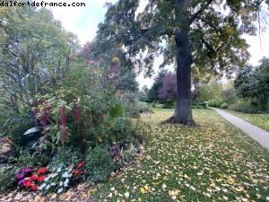 Bois de Vincennes - Paris, France (October 2020)