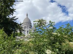Montmartre - Balades... Après le grand confinement - Paris