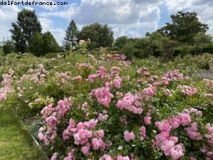 Les jardins de l'école Dubreuil et l'arboretum - Bois de Vincennes - balades -Après le grand confinement - Paris