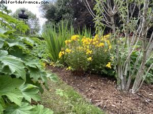Les jardins de l'école Dubreuil et l'arboretum - Bois de Vincennes - balades -Après le grand confinement - Paris