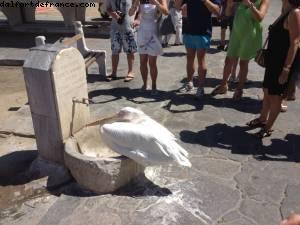 Mykonos - Our 43rd Atlantis cruise (Celebrity Equinoxe)