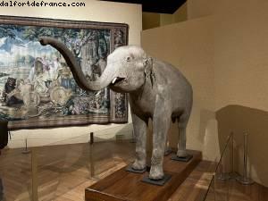 Expo Les animaux du Roi - Château de Versailles, France