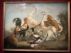 Expo Les animaux du Roi - Château de Versailles, France