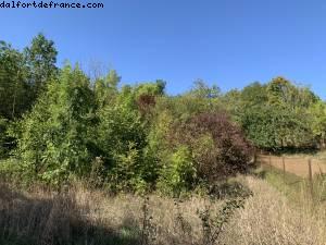 Vandelainville, France