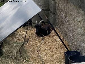 Tuileries Garden - Paris, France 