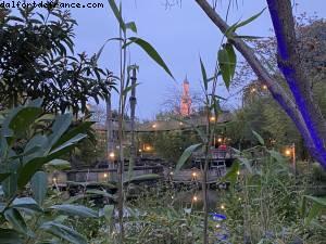 Confinement #2 - Dernières heures avant la re-fermeture - Disneyland Paris, France