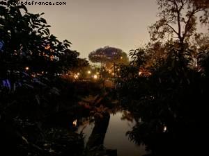 Confinement #2 - Dernières heures avant la re-fermeture - Disneyland Paris, France