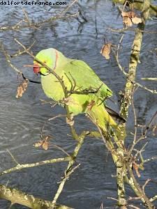 Maisons-Alfort, France