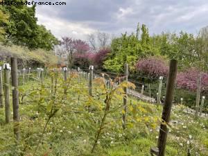 Parc de Belleville - Paris, France