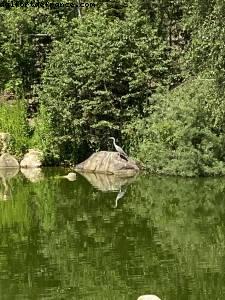 Réouverture après 3eme confinement - Disneyland Paris, France