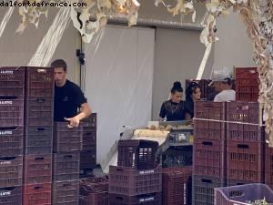 Estate Argyros Winery - Santorini, Greece - NCL Jade - Atlantis Greek Isle Cruise