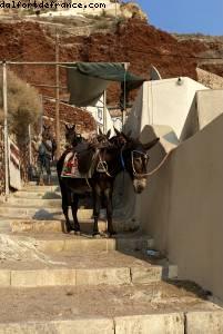 Oia - Santorini, Greece - NCL Jade - Atlantis Greek Isle Cruise