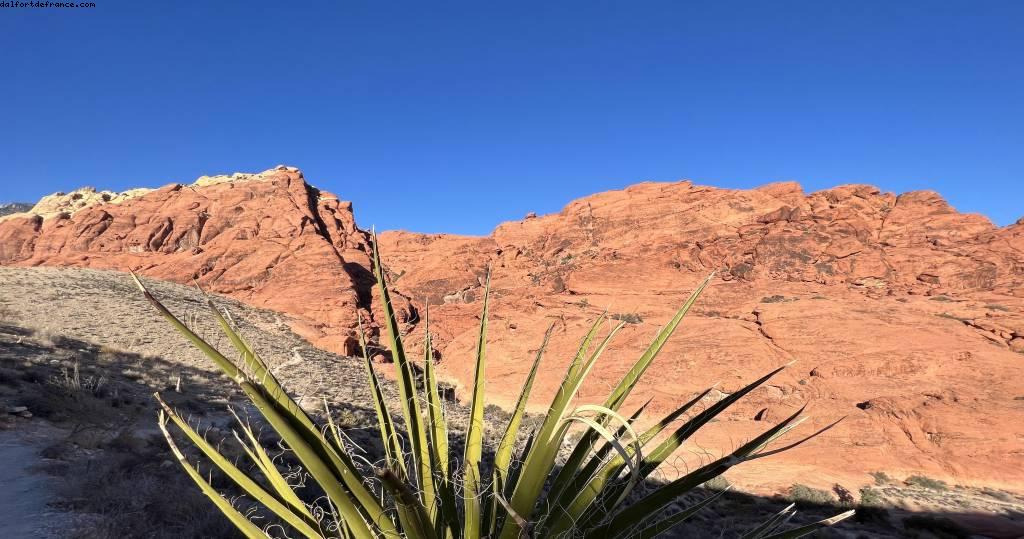 Red Rock Canyon - Las Vegas, Nevada