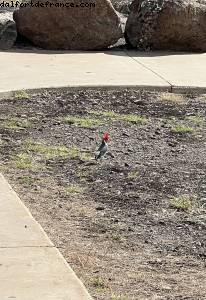 Makapu'u - Oahu, Hawaii