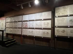 Billy Bob's - Fort Worth, Texas