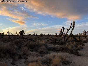 conduite dans le désert de Palm Springs à Las Vegas